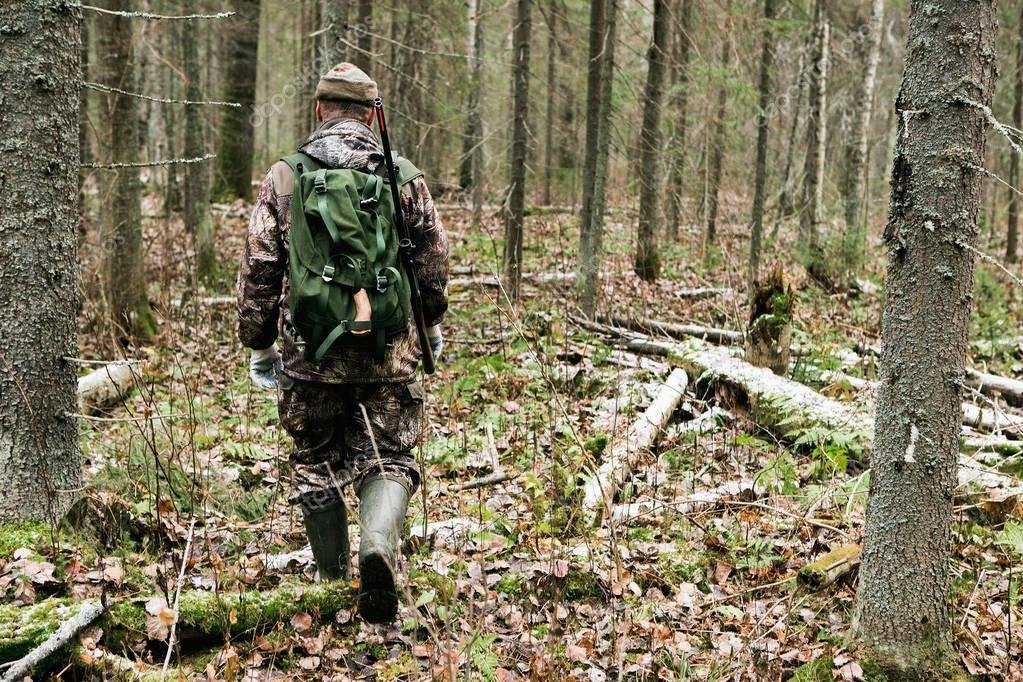 Georgia Hunting Season Guide 2023 – Shokunin USA