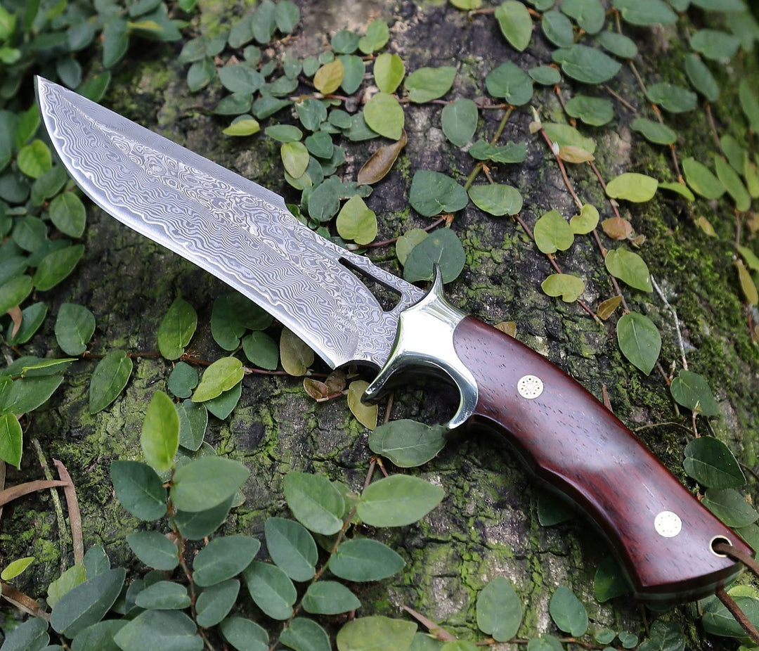 Utility Knife - Velar Japanese Hunting Knife with VG-10 Damacus Blade and Exotic Red Sandal Wood Handle - Shokunin USA