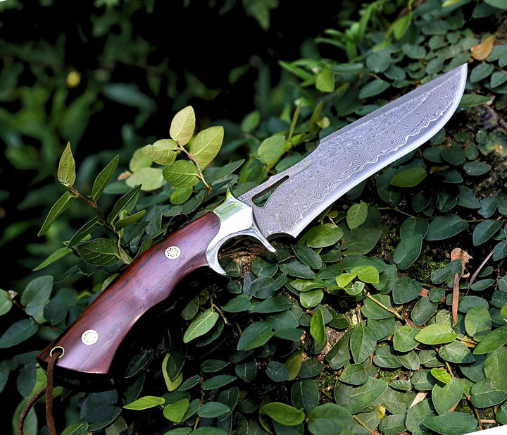 Utility Knife - Velar Japanese Hunting Knife with VG-10 Damacus Blade and Exotic Red Sandal Wood Handle - Shokunin USA