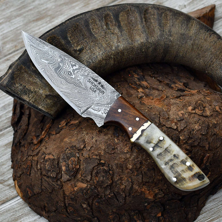 Ajax Damascus Hunting Knife with Exotic Rosewood & Ram Horn Handle