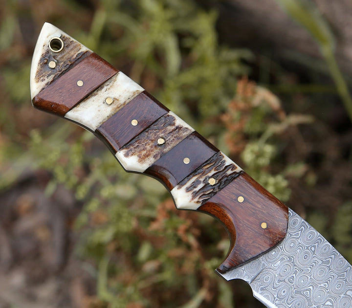 Sentinel Gut Hook Hunting Knife With Stag Horn & Exotic Rose Wood Mosaic Handle