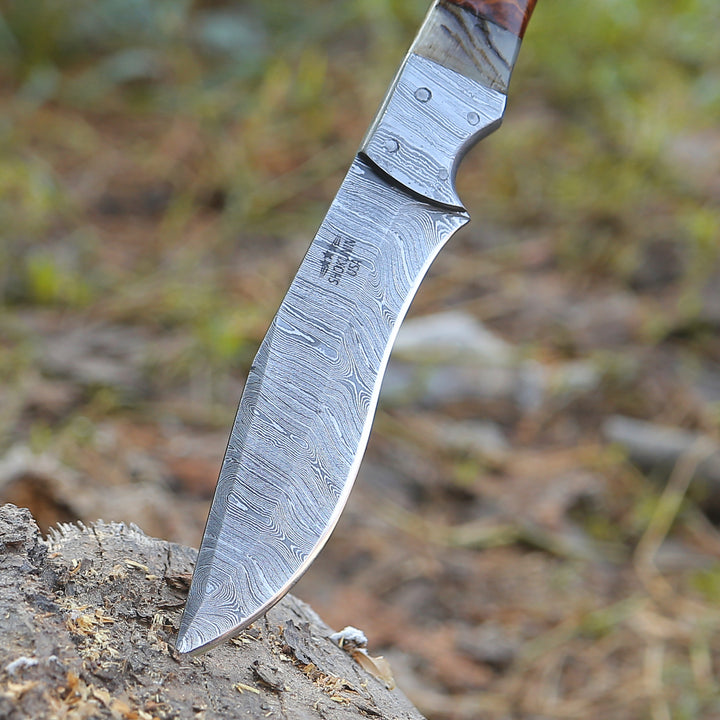 Utility Knife - Stinger Custom Handmade Hunting Knife, With Ram Horn & Rose Wood Handle - Shokunin USA