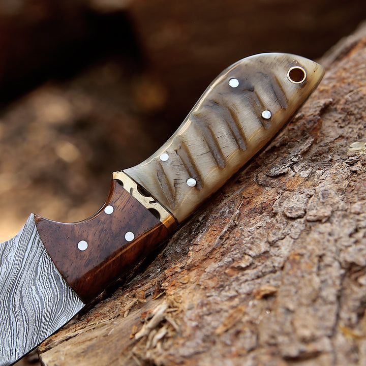 Starlight Damascus Hunting Knife with Exotic Rosewood & Ram Horn Handle