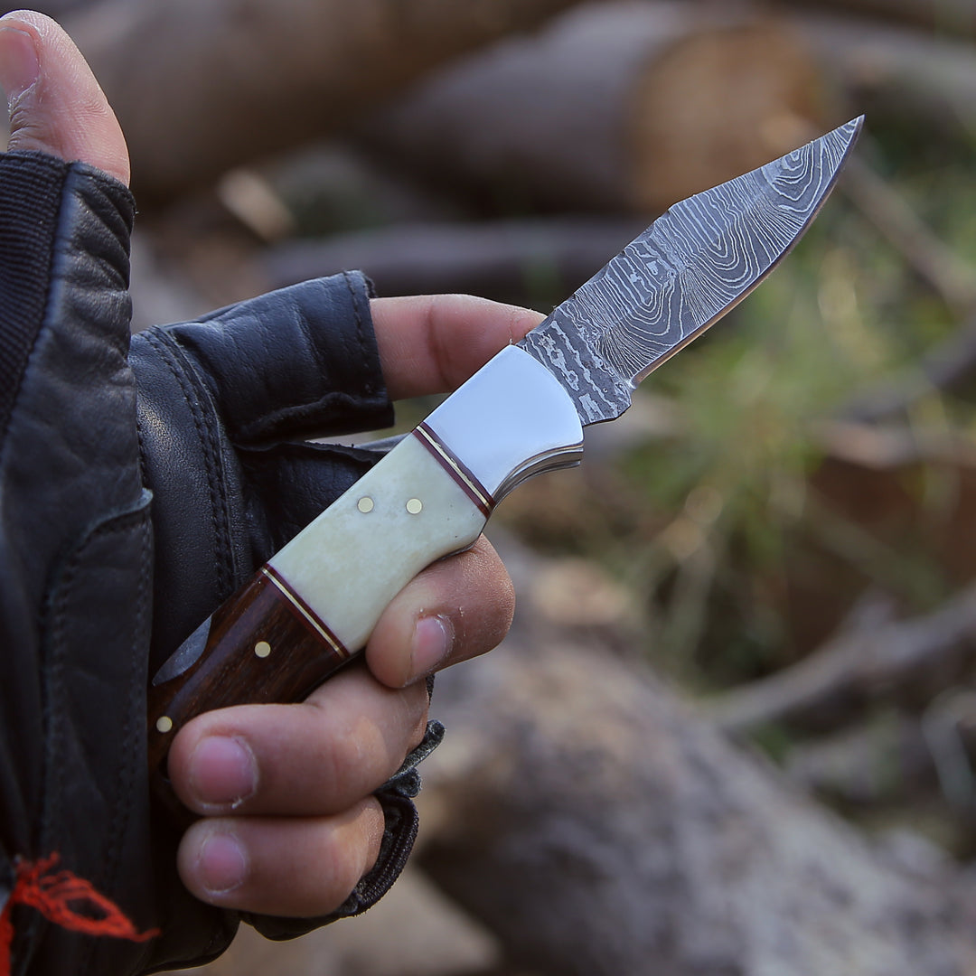 Pocket Knife - Falcon Pocket Knife with Exotic Rosewood Handle - Shokunin USA