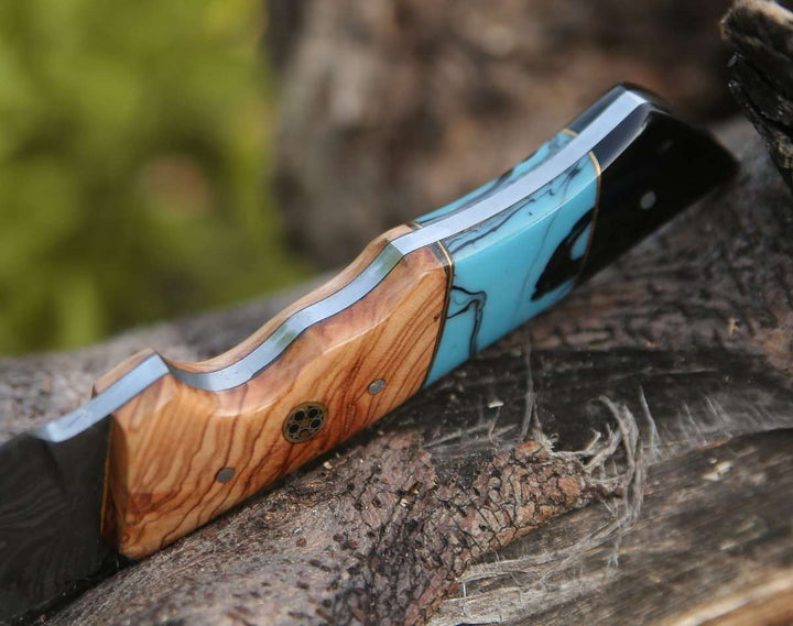 Gut Knife - Echelon Damascus Gut Hook Knife with Exotic Olive wood & Turquoise Handle - Shokunin USA