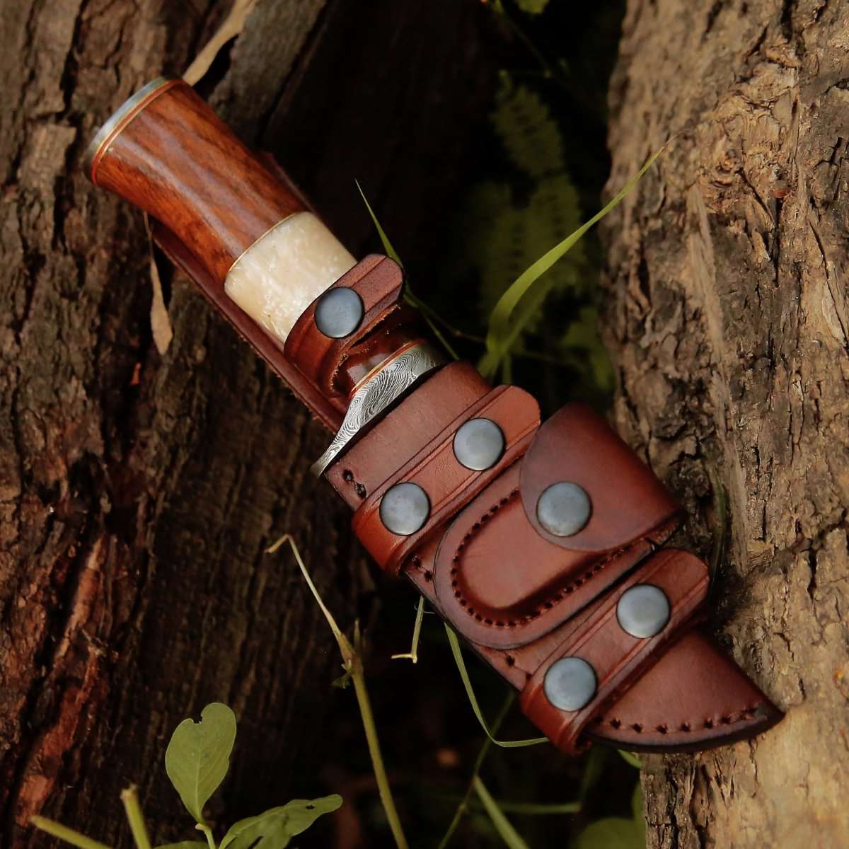 Personalized 6’ Custom Damascus Boot Knife With Clip Maple Burl Wood Handle + Leather popular Clip Case Damascus Knife Damascus Dagger Gift