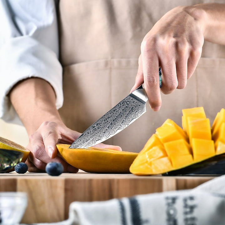 Chef knife - Ronin Chef Knife VG10 Damascus Petty Knife with Abalone Shell Handle - Shokunin USA
