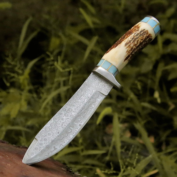 Damascus Knife - Viral Bull Nose Hunting Knife with Antler & Turquoise Handle - Shokunin USA
